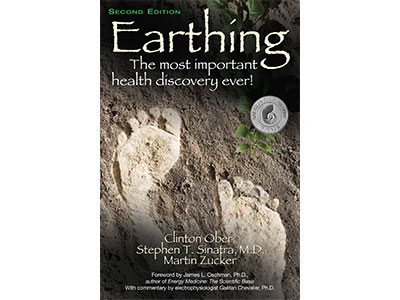 Earthing book (in English)