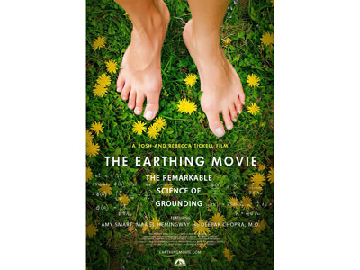 DVD The Earthing Movie
